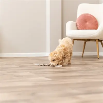 Trixie visgraat leer met touw 43 cm – kauwspeeltje zonder geluid - Afbeelding 6