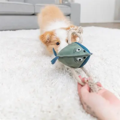 Trixie vis leer met touw 28 cm – hondenspeeltje zonder piepgeluid - Afbeelding 7