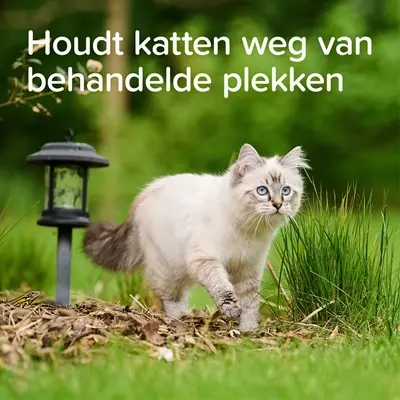 Beaphar Keep Off spray outdoor 500 ml – kattenafschrikmiddel voor buiten - Afbeelding 5