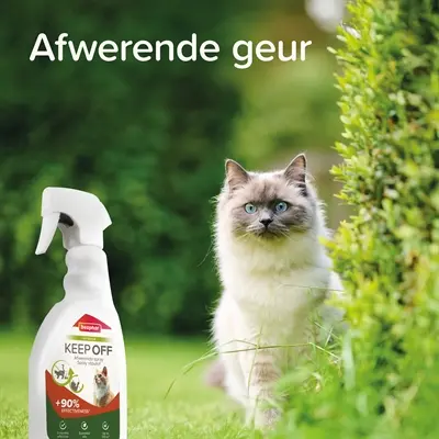 Beaphar Keep Off spray outdoor 500 ml – kattenafschrikmiddel voor buiten - Afbeelding 7