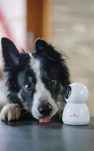 Eyenimal Pet Vision Live HD huisdiercamera zonder geluiddetectie - Afbeelding 8