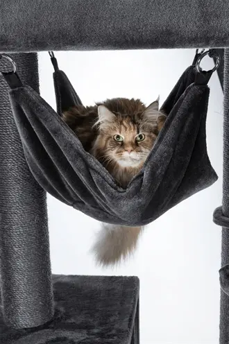 Trixie hangmat voor krabpaal Amadeus XXL grijs 40 x 40 cm - Afbeelding 3