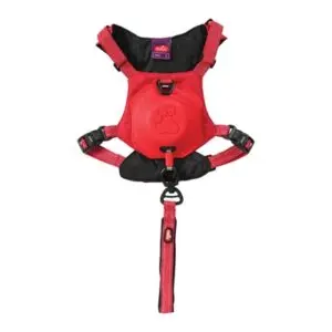 Zolux Easyride hondentuig rood XS 33-43 cm – handsfree, 3-9 kg - Afbeelding 4