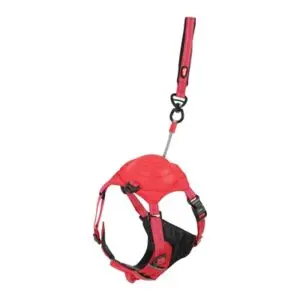 Zolux Easyride hondentuig rood S 41-54 cm – handsfree, 5-12 kg - Afbeelding 1