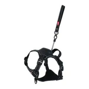 Zolux Easyride hondentuig zwart M 55-67 cm – handsfree, 16-33 kg - Afbeelding 1