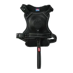 Zolux Easyride hondentuig zwart M 55-67 cm – handsfree, 16-33 kg - Afbeelding 4