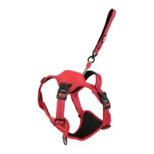 Zolux Easyride hondentuig rood L 63-80 cm – handsfree, 33-55 kg - Afbeelding 1