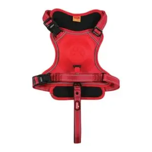 Zolux Easyride hondentuig rood L 63-80 cm – handsfree, 33-55 kg - Afbeelding 4