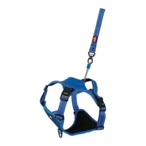 Zolux Easyride hondentuig blauw XL 73-94 cm – handsfree, 55-77 kg - Afbeelding 1