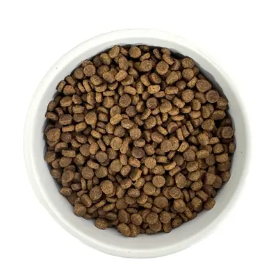 Budget Premium kittenvoer Quality Kitten 1 kg – kippenvlees - Afbeelding 5