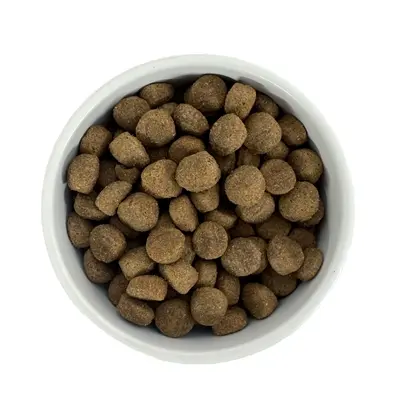 Budget Premium hondenvoer Lamb & Mobility 1 kg – lam - Afbeelding 5