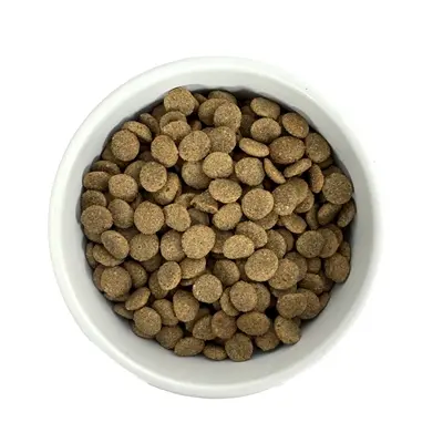 Budget Premium hondenvoer Senior Light 1 kg – licht verteerbaar - Afbeelding 5