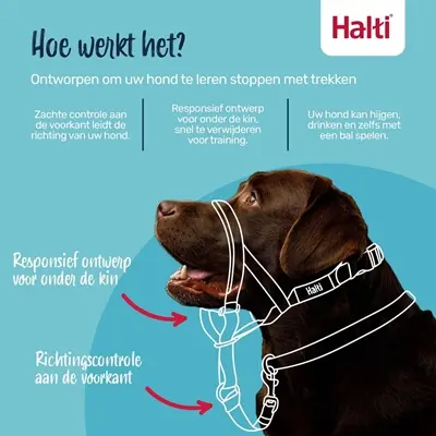 Halti hoofdhalster Headcollar zwart maat 3 – nekomvang 40-54 cm - Afbeelding 4
