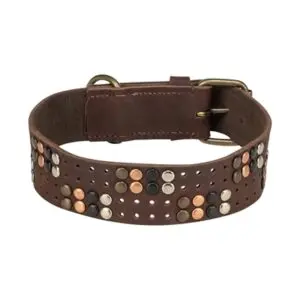 Trixie halsband Rivet Rustic vetleer donkerbruin M 38-47 cm - Afbeelding 4