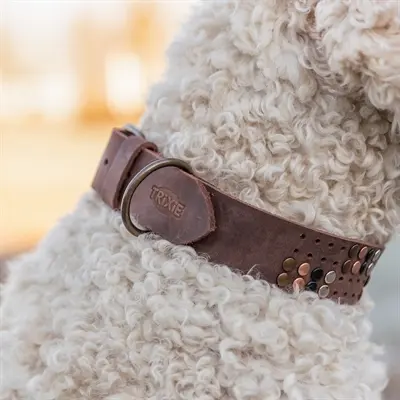 Trixie halsband Rivet Rustic vetleer donkerbruin L 47-54 cm - Afbeelding 5