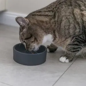 Trixie voerbak kat keramiek assorti 12 cm 150 ml - Afbeelding 4