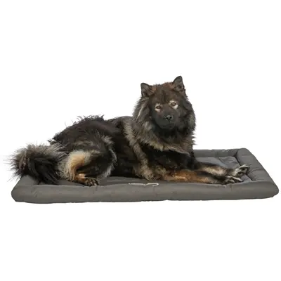 Trixie hondenreisdeken Samoa olijfgroen 130 x 80 cm – compact, slipvast - Afbeelding 6