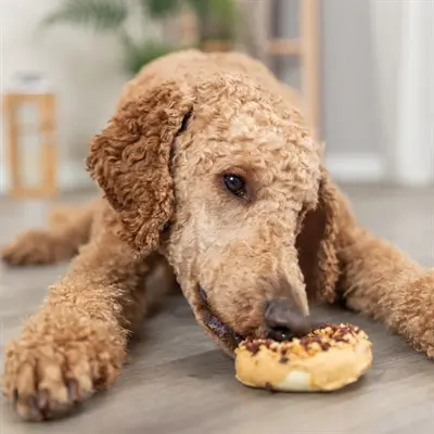 Trixie Donuts kauwsnack eend, kip en kabeljauw 9 cm – 3 stuks, 55 g - Afbeelding 5