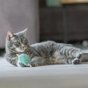 Trixie kattenspeeltje matatabi hart pluche assorti 12 cm - Afbeelding 4