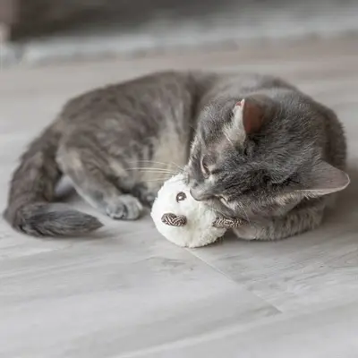 Trixie beer van pluche met catnip 8 cm – kattenspeelgoed, assorti