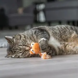 Trixie draak van pluche met catnip 20 cm – kattenspeelgoed, assorti - Afbeelding 4