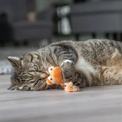Trixie draak van pluche met catnip 20 cm – kattenspeelgoed, assorti