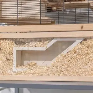 Trixie observatiebox 36 x 17 cm – onbehandeld hout, voor muizen en hamsters - Afbeelding 4