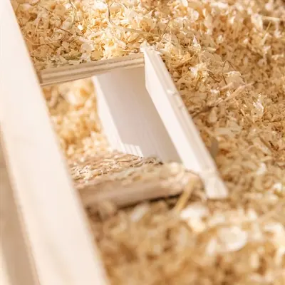 Trixie observatiebox 36 x 17 cm – onbehandeld hout, voor muizen en hamsters - Afbeelding 5