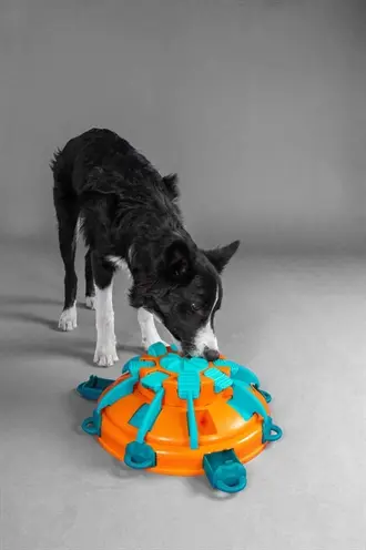 Nina Ottosson Tower of Treats 36 x 36 x 11 cm – level 4, oranje/blauw - Afbeelding 6