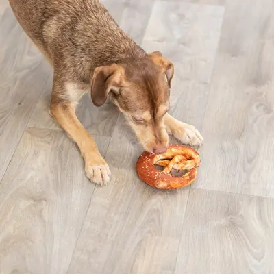 Trixie Denta Fun Pretzels eend 10 cm – runderhuid met eend - Afbeelding 5