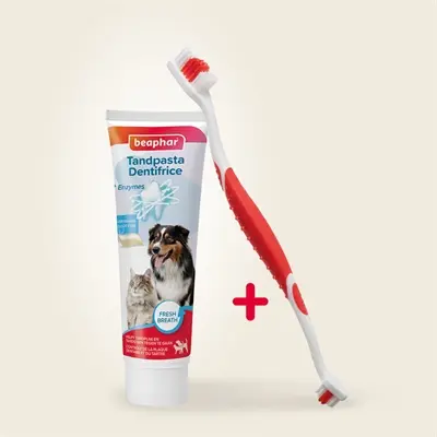 Beaphar tandpasta leversmaak combi-pack met borstel – hond en kat - Afbeelding 5
