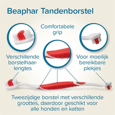 Beaphar tandpasta leversmaak combi-pack met borstel – hond en kat - Afbeelding 6