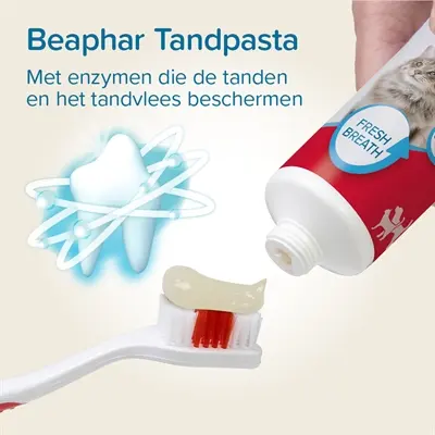 Beaphar tandpasta leversmaak combi-pack met borstel – hond en kat - Afbeelding 7