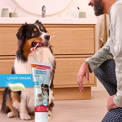 Beaphar tandpasta leversmaak combi-pack met borstel – hond en kat - Afbeelding 9
