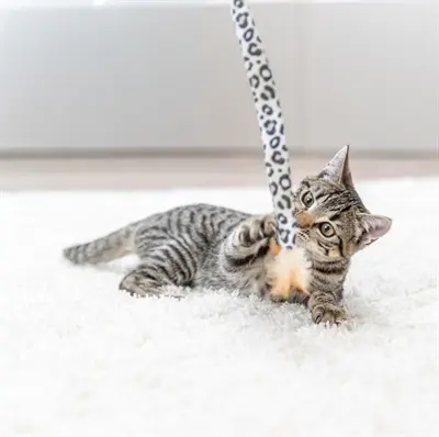 Trixie kattenhengel staart panterprint met catnip 51 cm