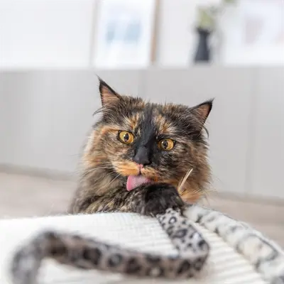 Trixie kattenhengel staart panterprint met catnip 51 cm