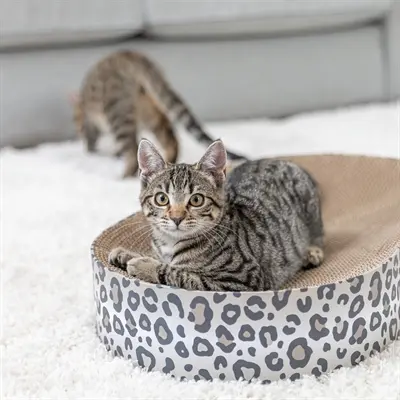 Trixie krabmand Leo karton crème 63 x 35 x 10 cm – met catnip