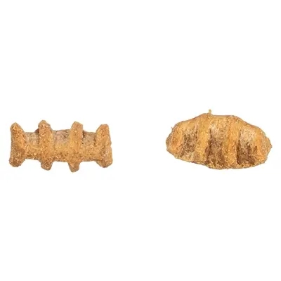 Trixie Fish Bones kattensnack kippenborst en zalm 50 g
