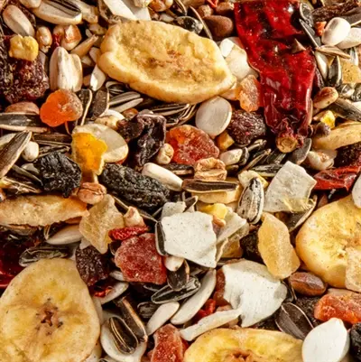 Versele-Laga Exotic Fruit papegaaiensnack 750 g – met 35% gedroogd fruit