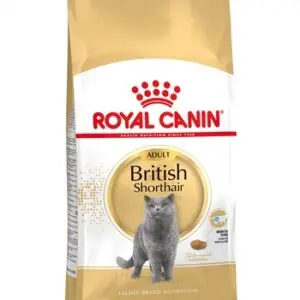 Royal Canin British Shorthair kattenvoer 2 kg – vanaf 12 maanden - Afbeelding 5