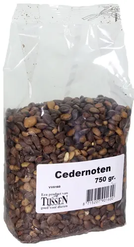 Cedernoten 750 g – aanvullende snack voor knaagdieren en papegaaien