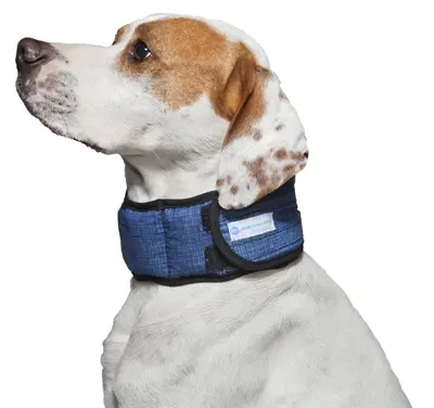 Aqua CoolKeeper koelhalsband hond Pacific Blue 54-61 cm