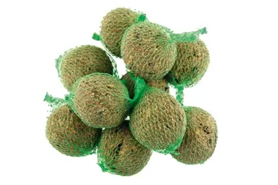 Mezenbollen 100 stuks – vetbollen met zonnebloempitten, haver en tarwe