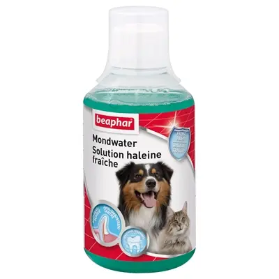 Beaphar mondwater 250 ml – enzymen, voor hond en kat