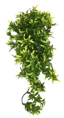 Komodo Croton plant 40 cm – kunstplant voor terrarium