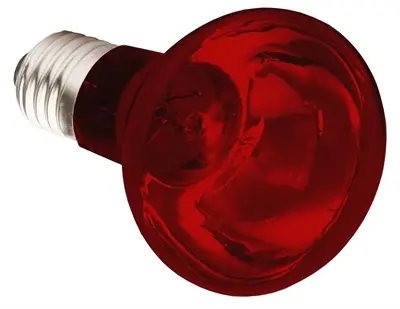 Komodo infraroodwarmtelamp ES 100 W E27 – voor reptielen