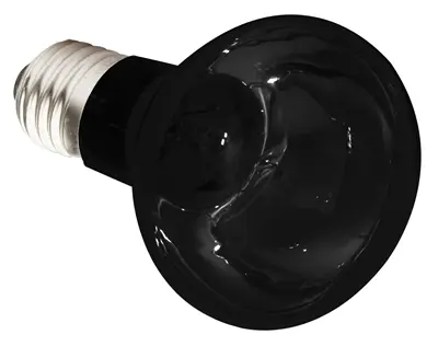 Komodo nachtgloedlamp ES 50 W E27 – maanlichtachtige gloed voor terrarium