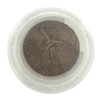Dierendrogist groenlipmossel extract 200 g – voor gewrichten hond en kat - Afbeelding 2