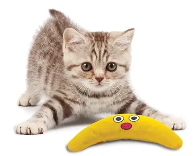 Petstages Green Magic Boomerang Buddy kattenspeeltje 23,5 x 10 x 4 cm - Afbeelding 5