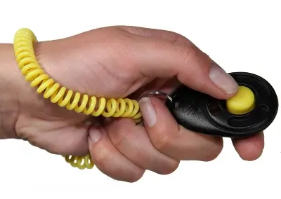 Starmark clicker Pro-Training Deluxe zwart en geel – 6 x 4 cm, roestvrij